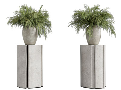 现代花盆盆栽植物