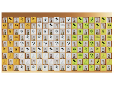 现代中草药植物标本展架 展柜