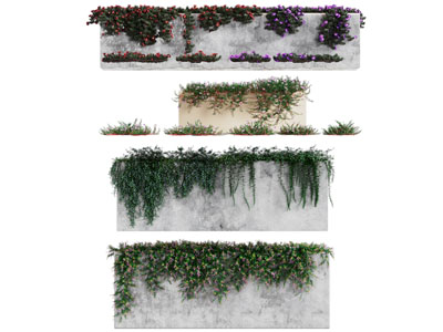 现代藤蔓植物墙 花墙