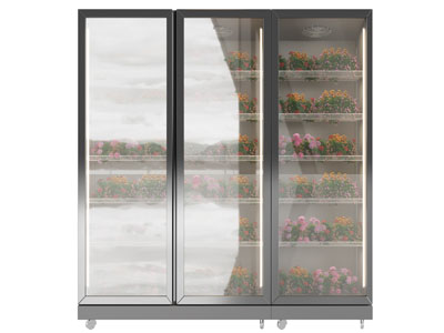 现代鲜花保鲜柜 展柜