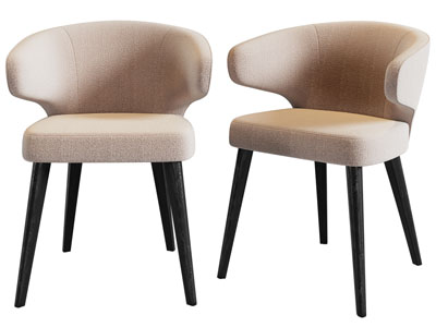 现代休闲椅子 餐椅