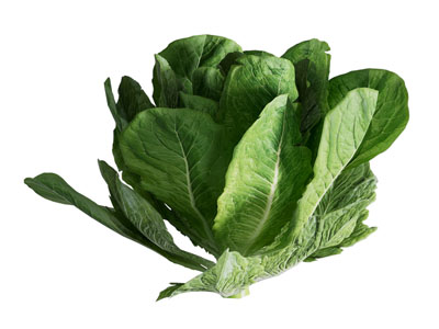 现代小白菜 水果食物