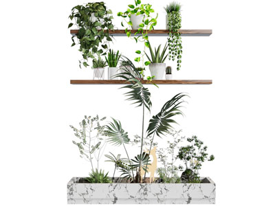 现代花坛花草绿色植物景观园艺小品