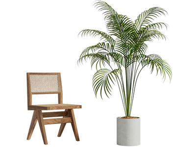 现代休闲椅子 植物盆栽
