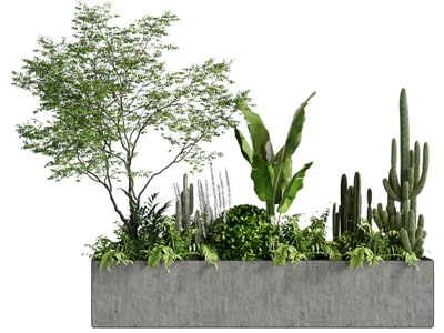 现代水泥花坛花草树木盆栽植物