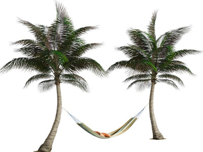 现代椰子树 吊床