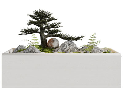 现代花坛松树 石头景观园艺小品