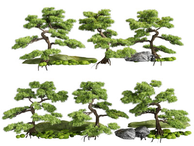 新中式松树景观树木