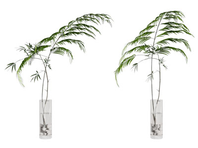 现代玻璃花瓶花卉