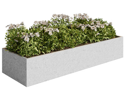 现代花池 花卉盆景盆栽植物