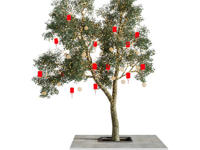 现代祈愿树 景观树木