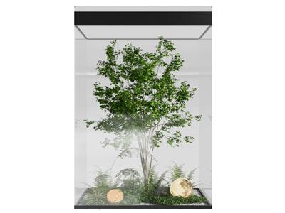 现代室内玻璃景观植物园艺小品