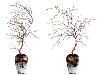 侘寂风陶艺花瓶干枝摆件组合