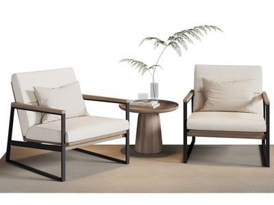 现代休闲椅子 边几