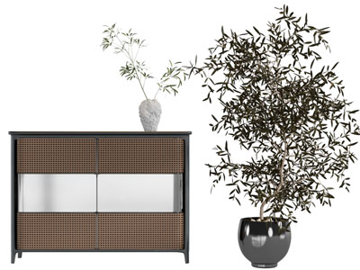 现代玄关柜 边柜 花盆盆栽植物3d模型 现代玄关柜 边柜 花盆盆栽植物