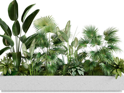 现代花坛花草植物景观园艺小品