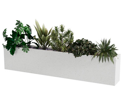 现代花坛花卉盆栽植物