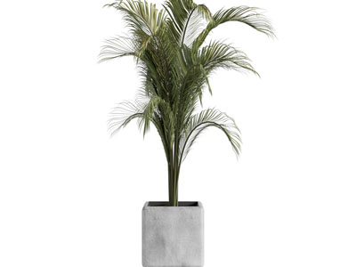 现代水泥花盆盆景盆栽植物