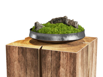 现代苔藓盆景盆栽植物