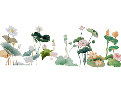 新中式荷花 荷叶墙饰 剪影 剪纸