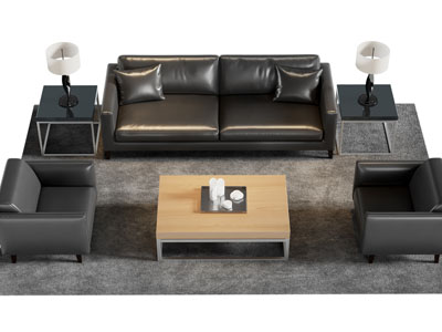 现代双人 单人沙发和茶几组合