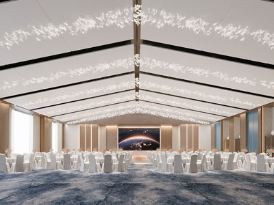 现代酒店婚庆宴客厅 就餐区