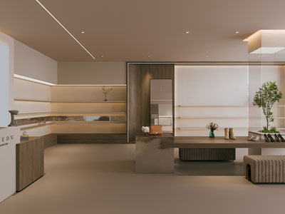 现代女士箱包鞋帽专卖店