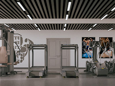 现代健身房3d模型 现代健身房