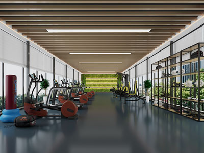 现代健身房3d模型 现代健身房