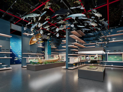 现代海洋生物展馆 展厅