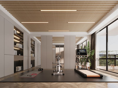 现代家居健身房3d模型 现代家居健身房