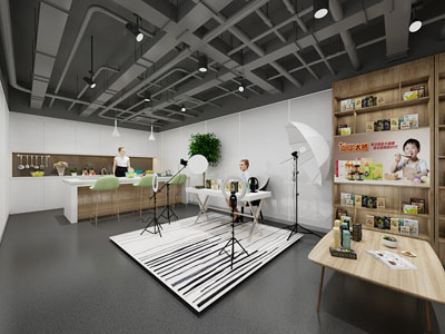 现代有机食物直播间3d模型 现代有机食物直播间