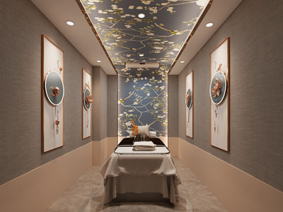 新中式美容按摩院 spa会所3d模型 新中式美容按摩院 spa会所