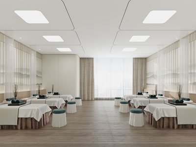 新中式中医美容按摩院 spa会所3d模型 新中式中医美容按摩院 spa会所