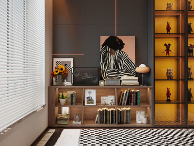 现代中古风装饰书柜