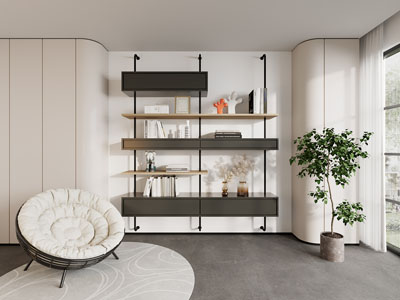 现代固定墙面的装饰书柜