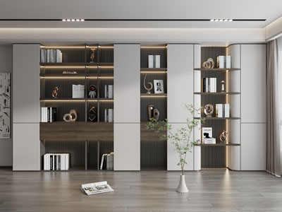 现代装饰书柜