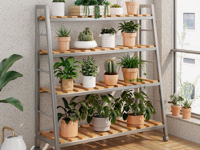 现代花架 盆景盆栽植物