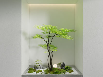 现代室内植物景观园艺小品