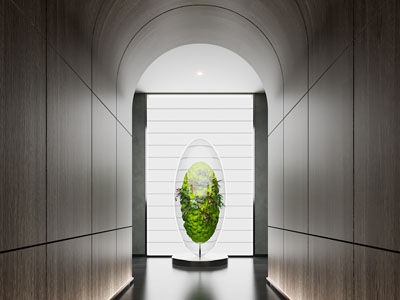 现代过道玄关景观园艺小品