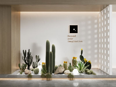 现代室内多肉 仙人掌景观园艺小品