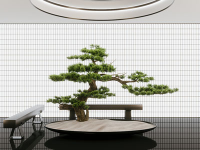 现代松树景观园艺小品