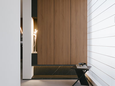 现代玄关门厅鞋柜