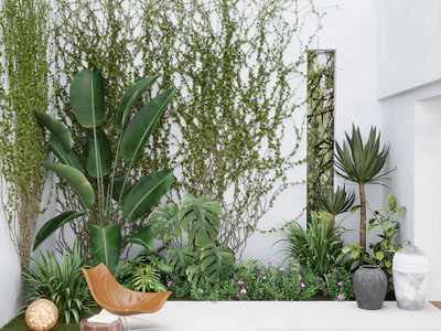 现代庭院植物景观园艺小品