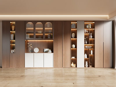 现代中古风装饰书柜