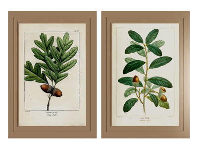 美式植物装饰挂画