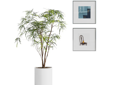 现代装饰挂画 盆景盆栽植物