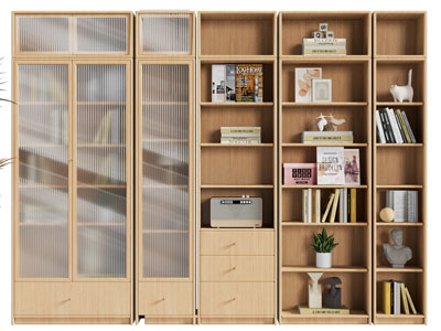 现代玻璃柜门的装饰书柜