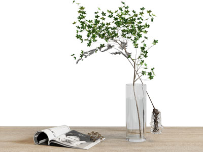 现代玻璃花瓶花卉