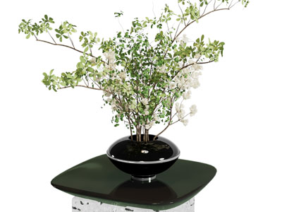 现代黑色玻璃花瓶花卉